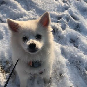 Meet your Posher, Heidi